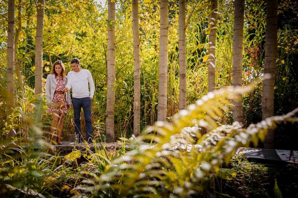 Présentation des jardins en&nbsp;mouvements