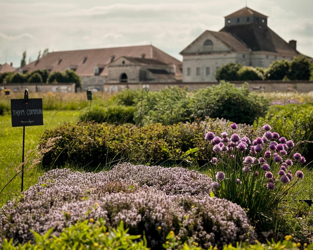 Les jardins thématiques de la Saline&nbsp;royale