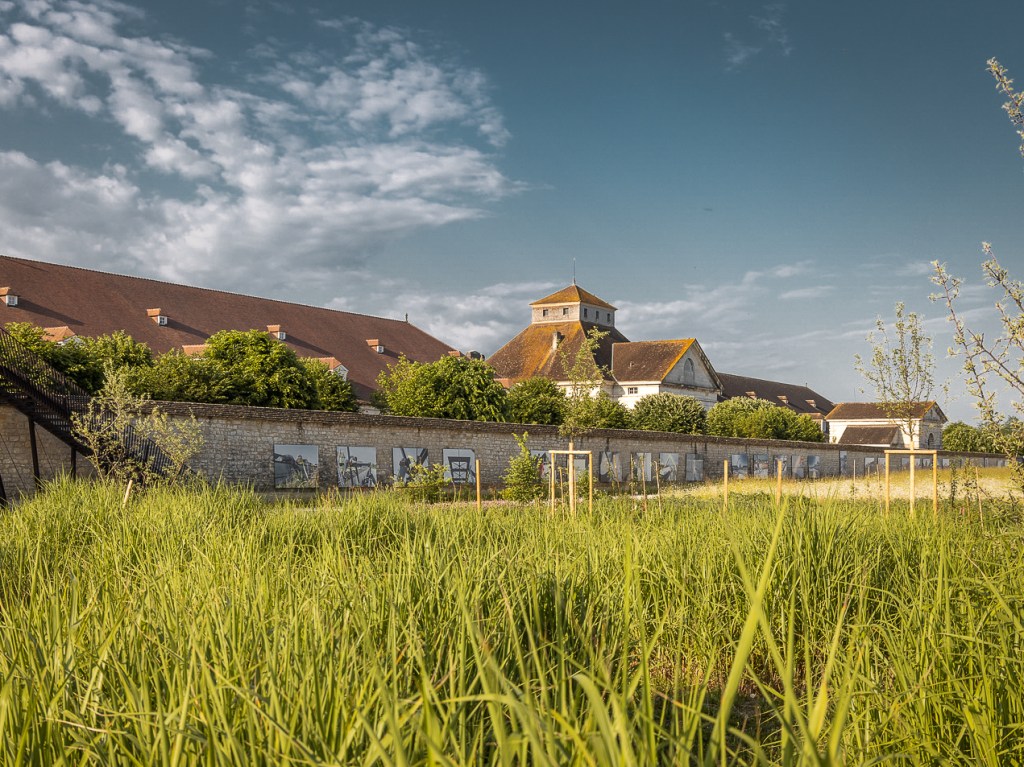 Les jardins de la Saline royale, une gestion&nbsp;différenciée