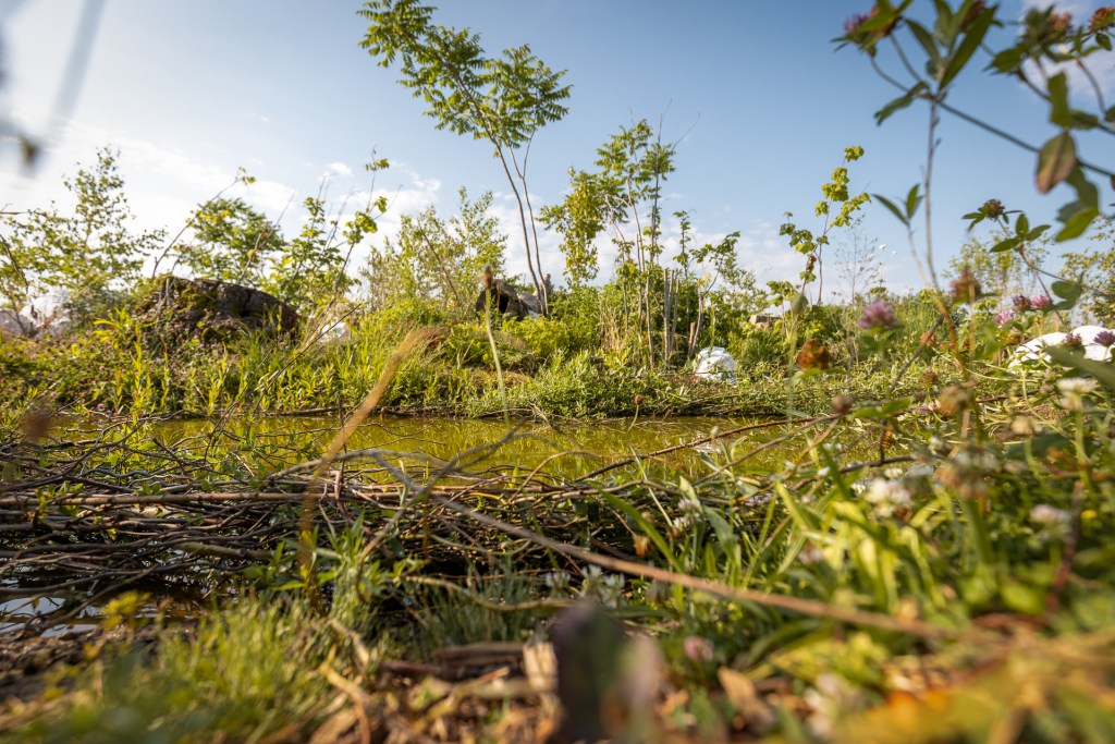 Festival des jardins 2024 : évolution des jardins et protection de la&nbsp;biodiversité