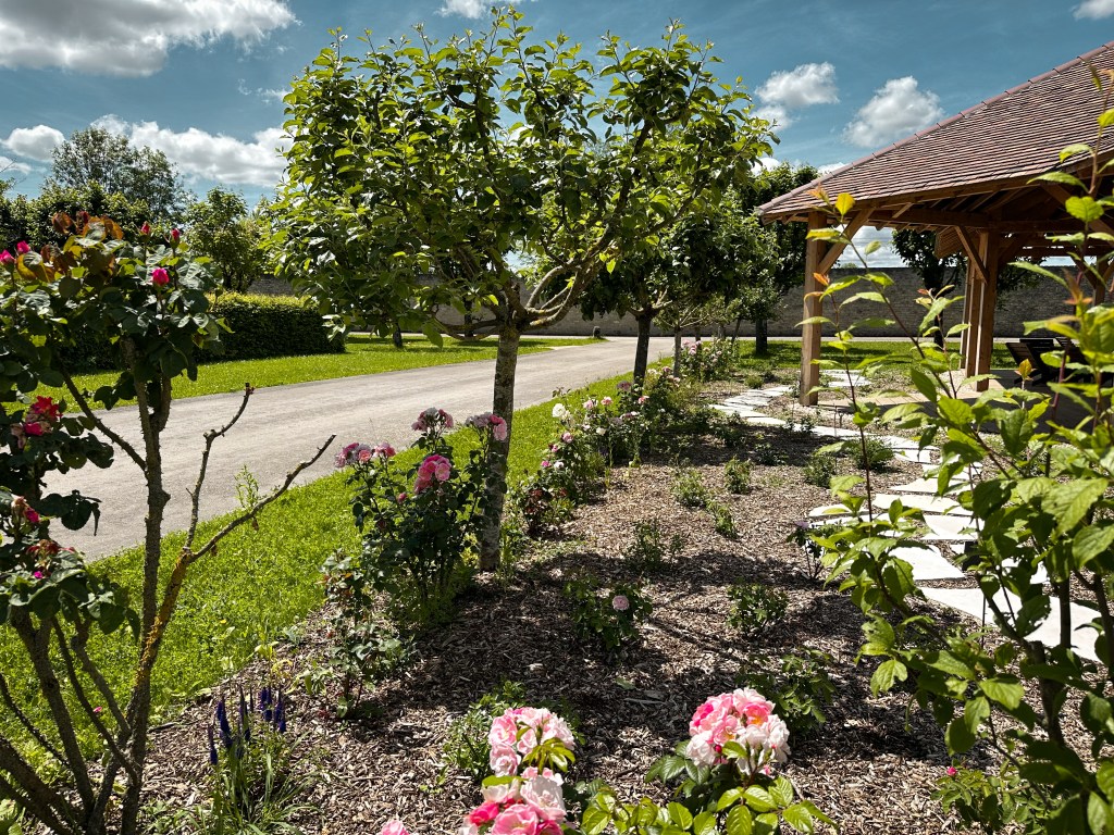 Nouveauté : Une roseraie est née dans les jardins&nbsp;!
