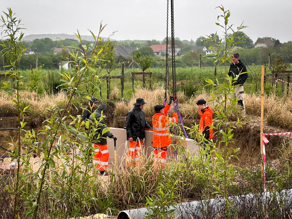 Le mécénat de compétence, un engagement concret, pour les jardins de la Saline&nbsp;royale